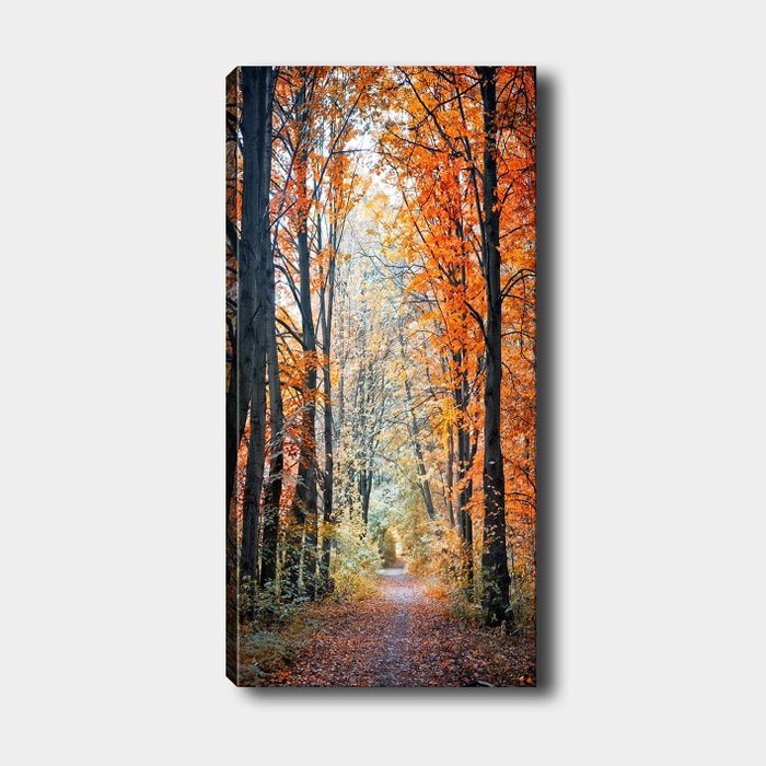 Wallity Lienzo Decorativo Multicolor 50 x 120 cm